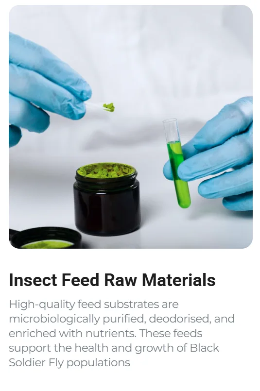Insect feed raw materials